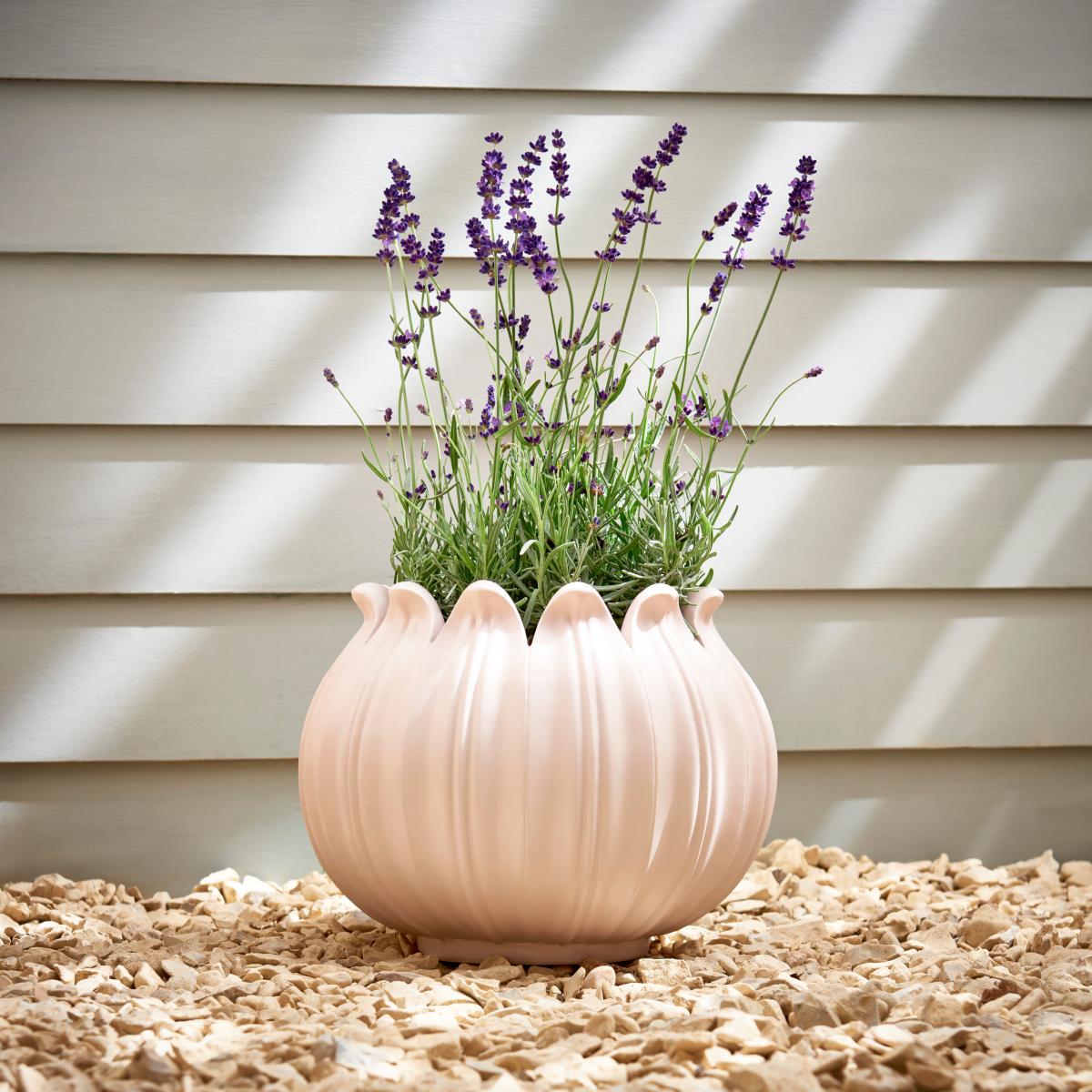Poppy Head Planter Cream – image 1