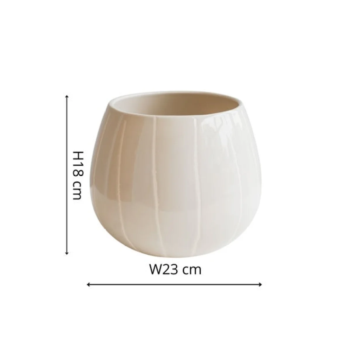 Nova Wax Relief Planter Cream – image 6