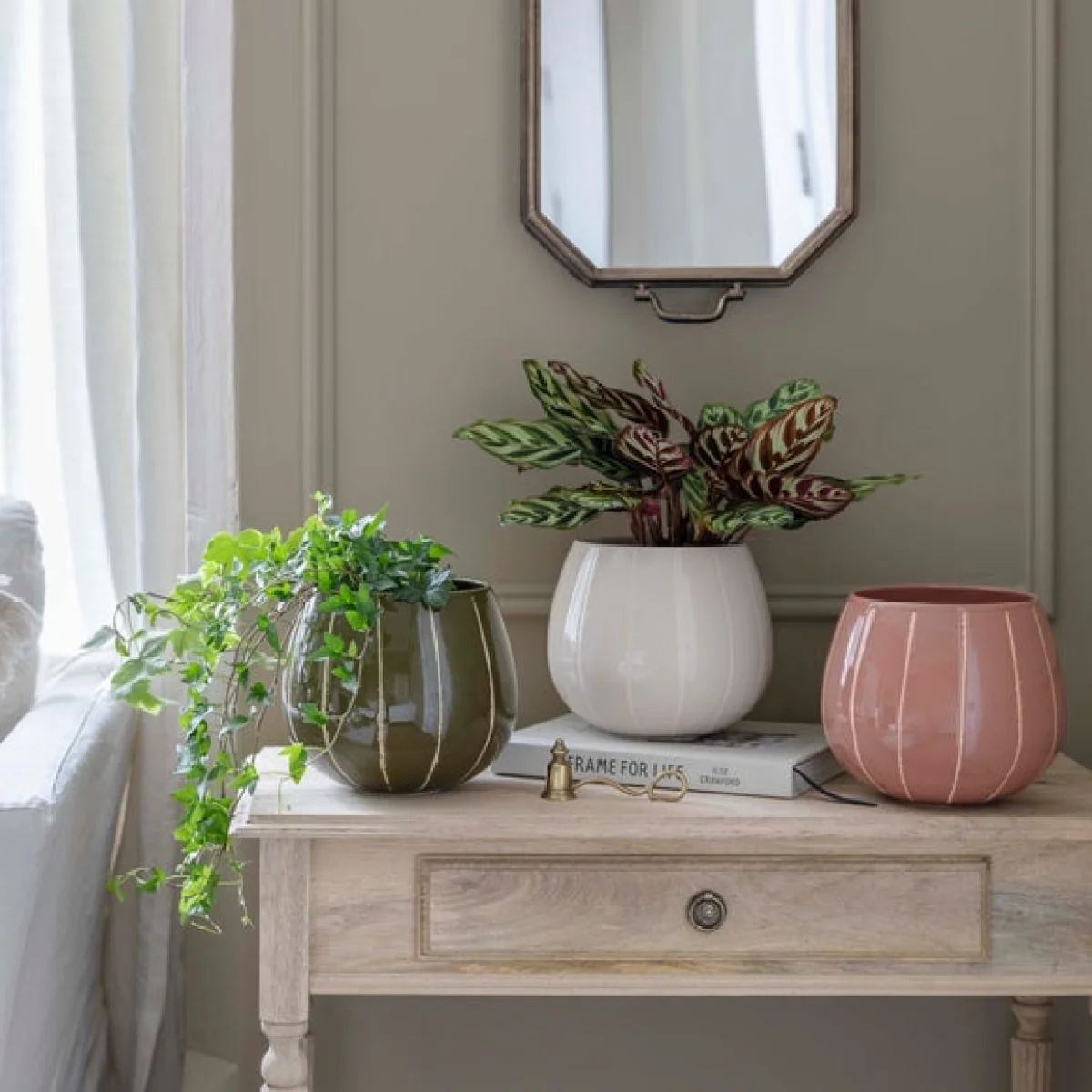 Nova Wax Relief Planter Cream – image 1