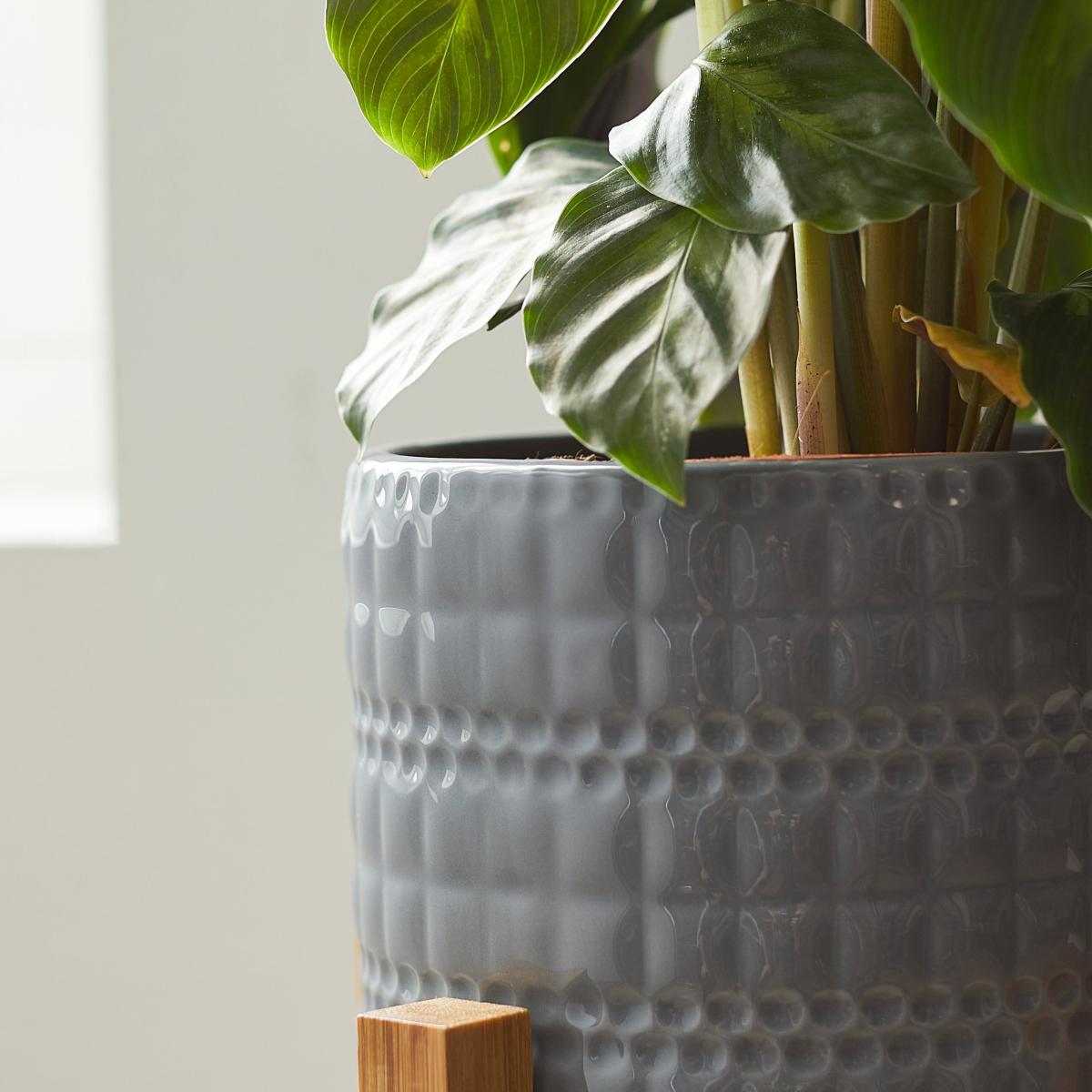 Grey Embossed Plant Pot on Wooden Stand Grey – image 2