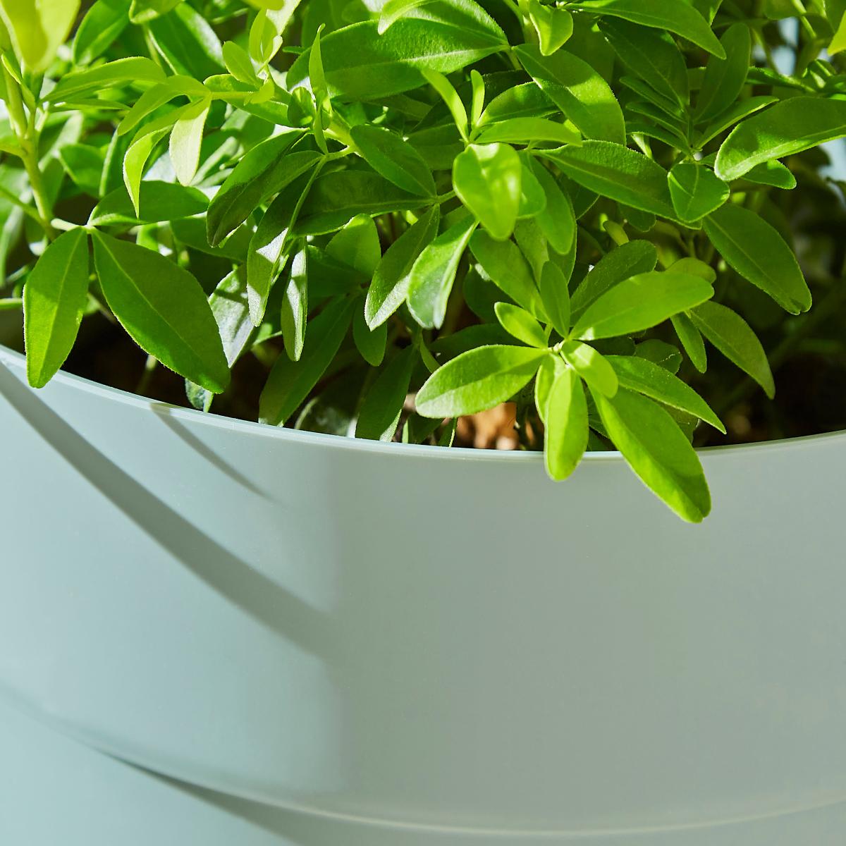 Small Soho Planter 28cm Green – image 2