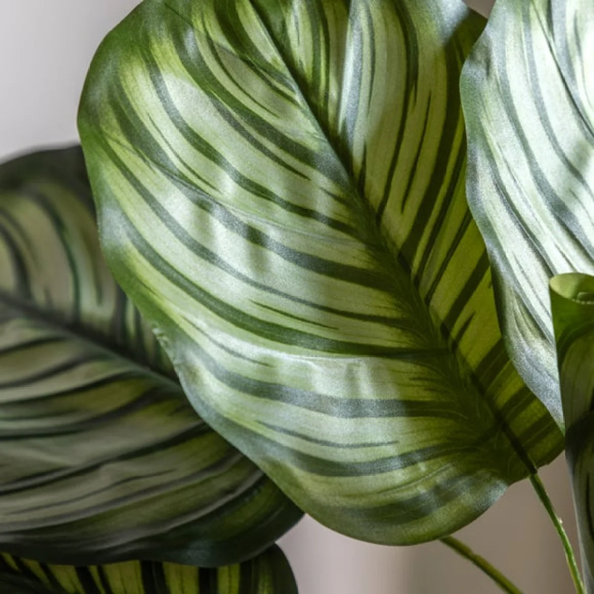 Cedar & Sage Artificial Small Calathea Leaf Tree in Black Plant Pot – image 2