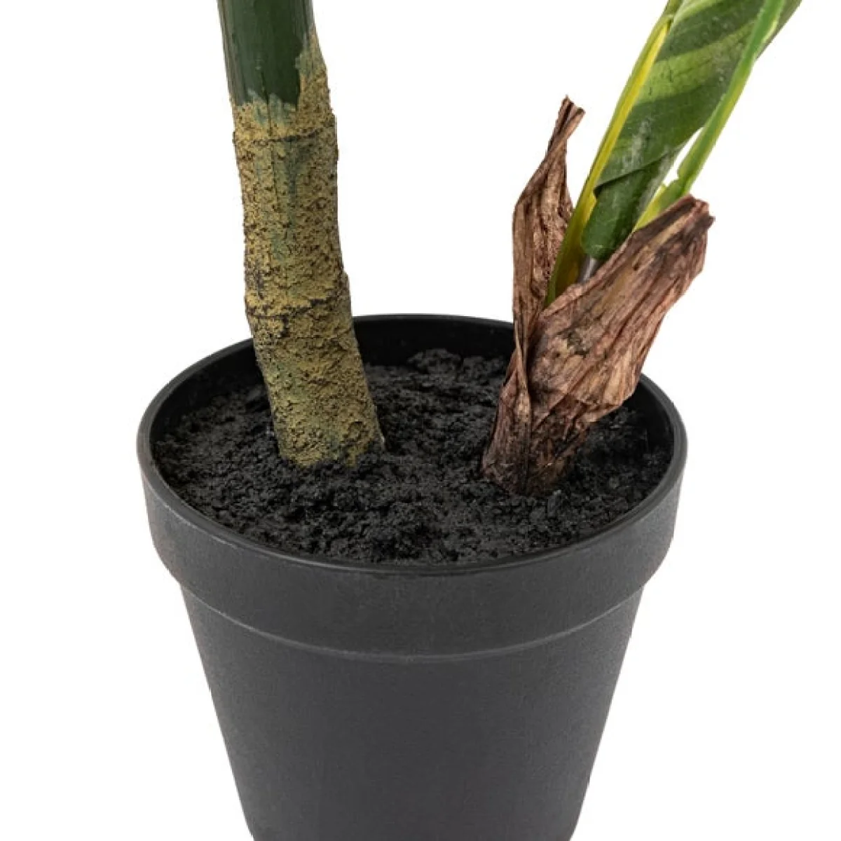 Cedar & Sage Artificial Small Calathea Leaf Tree in Black Plant Pot – image 5