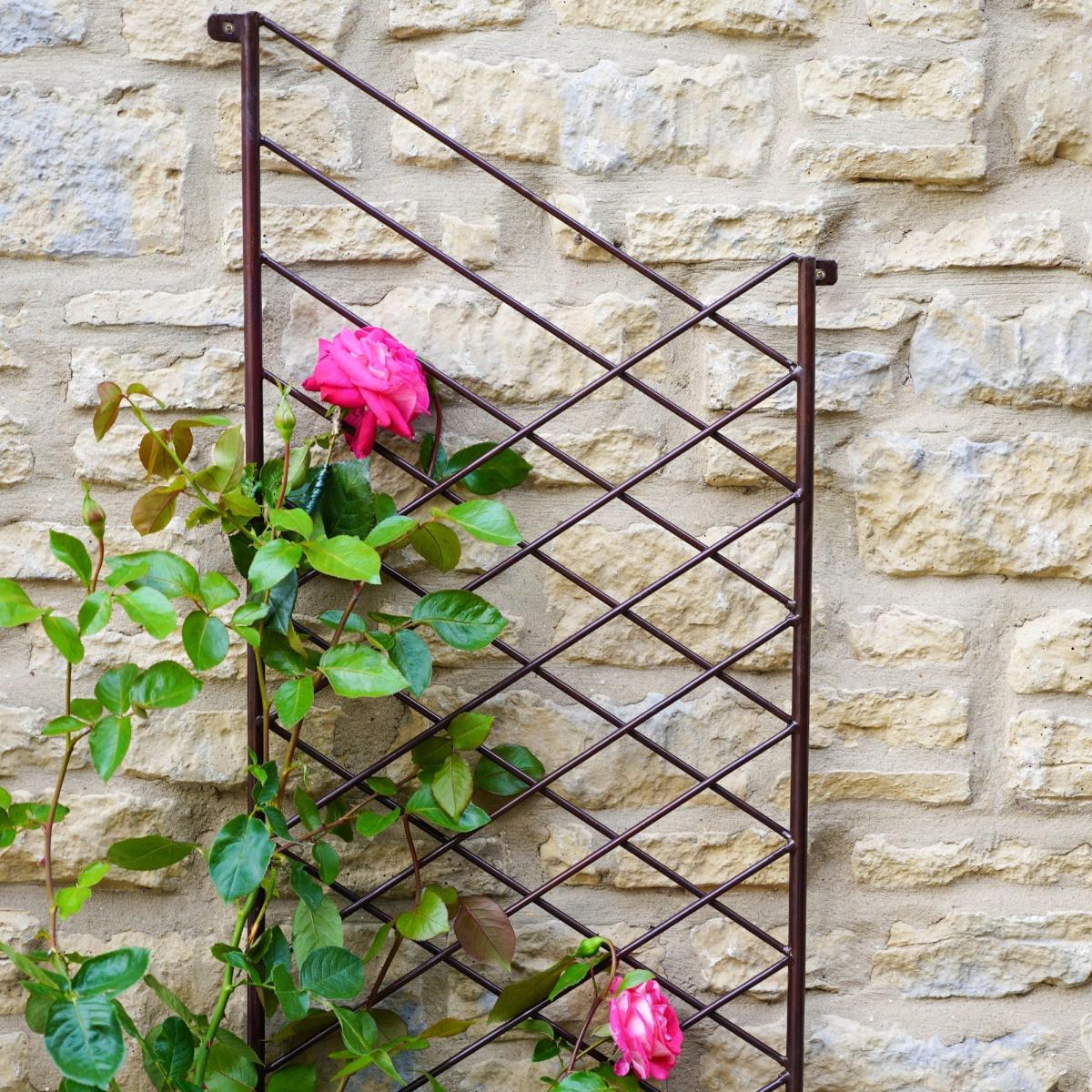 Outdoor Linear Trellis Bronze – image 1