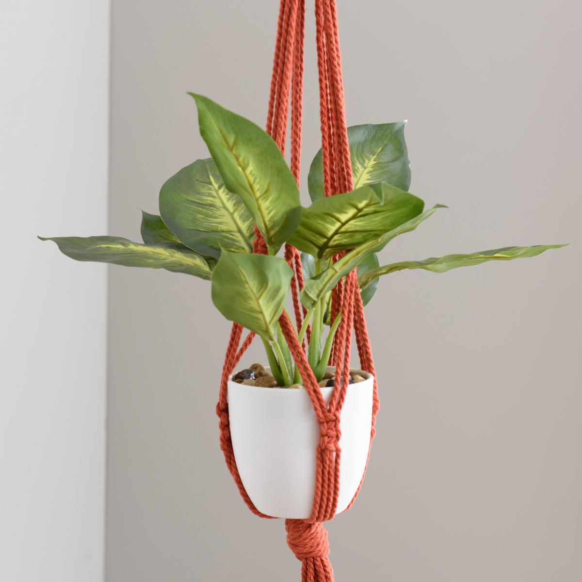 Macrame Single Plant Hanger Ginger – image 2