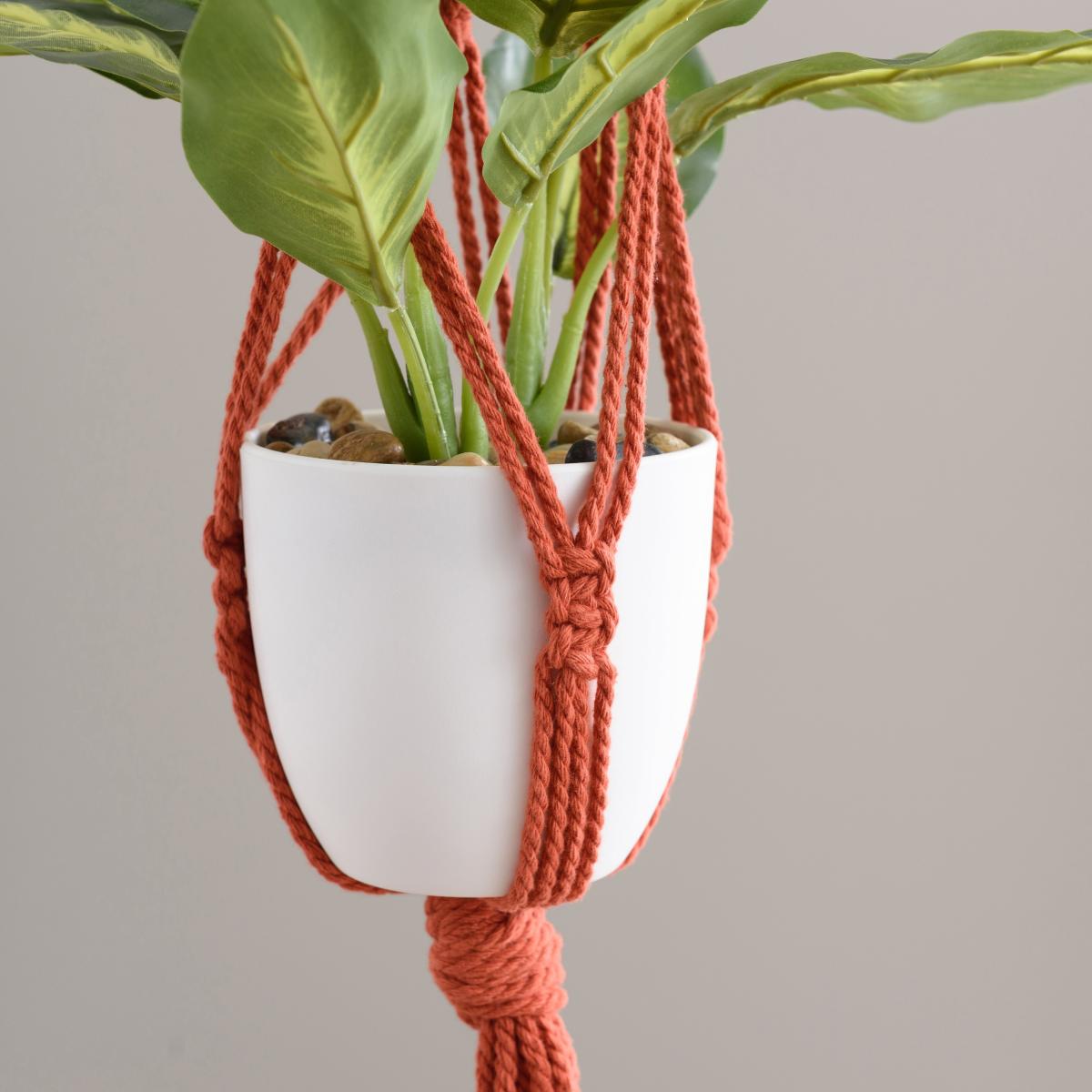 Macrame Single Plant Hanger Ginger – image 3