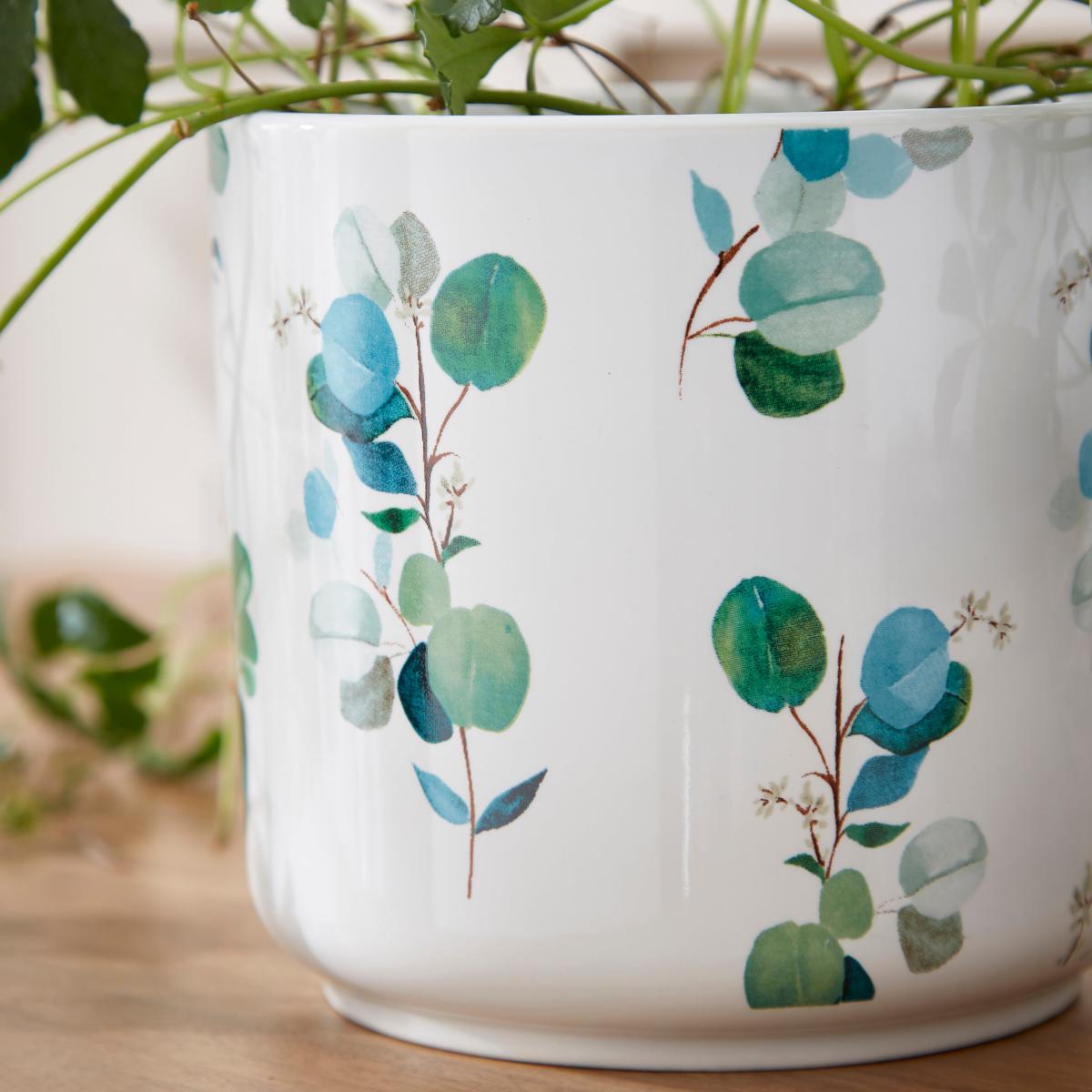 Eucalyptus Plant Pot MultiColoured – image 2