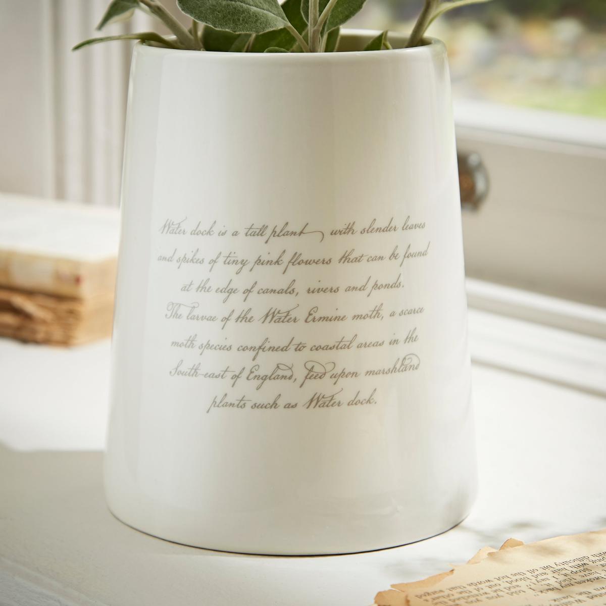 Water Dock Ceramic Plant Pot MultiColoured – image 6