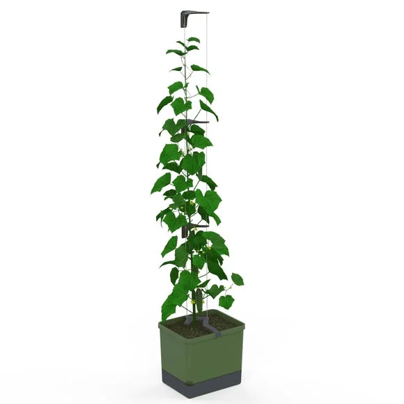Gusta Garden Curt Cucumber Planter with Water Tank – image 2