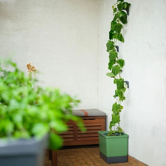 Gusta Garden Curt Cucumber Planter with Water Tank – image 5