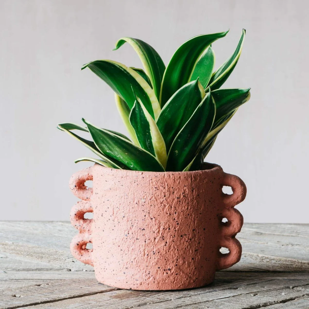 Orange Looped Handle Plant Pot – image 1