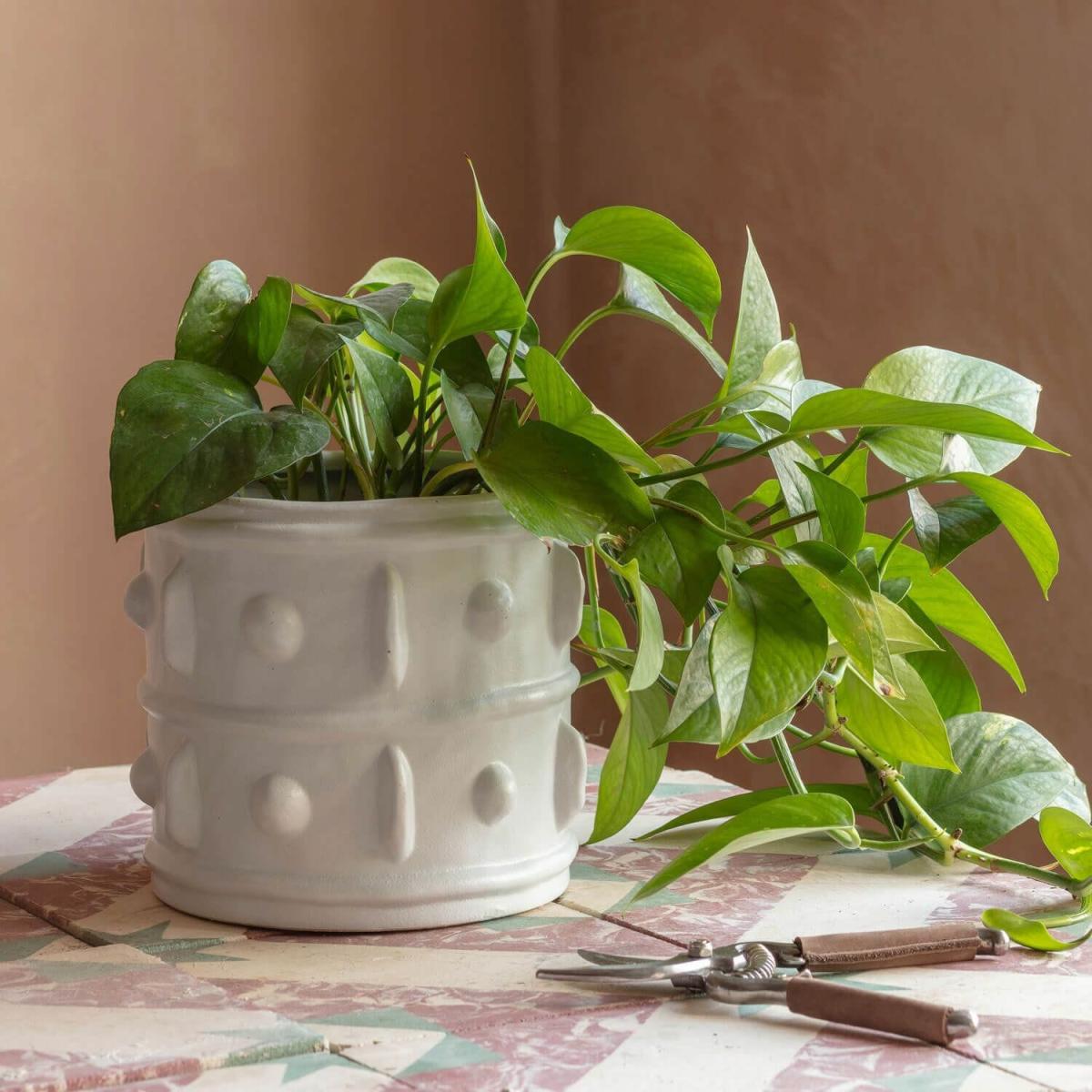 Graham and Green White Rustic Planter Small – image 2