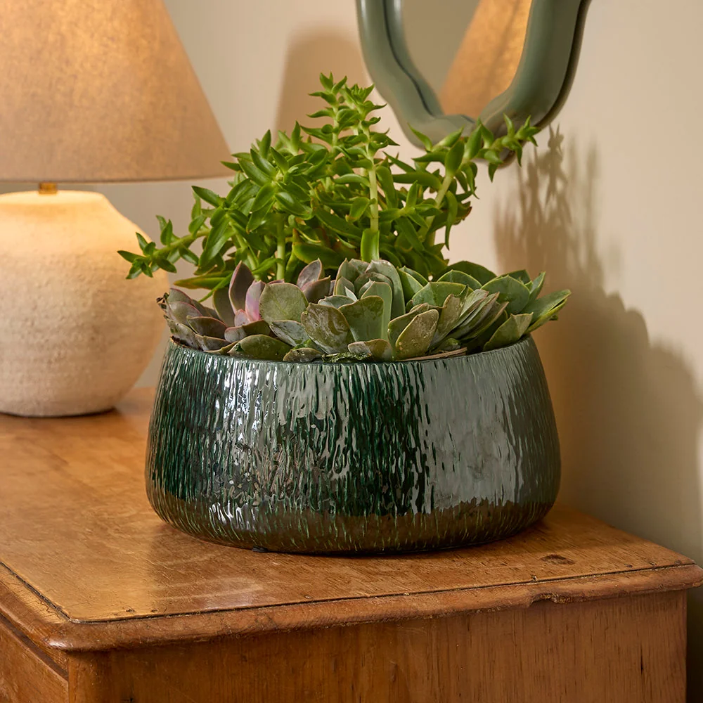Ramada Low Bowl | Indoor Plant Pot Emerald