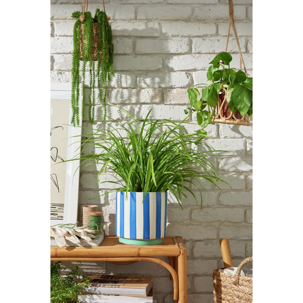Habitat Blue Stripe Ceramic Planter – image 2