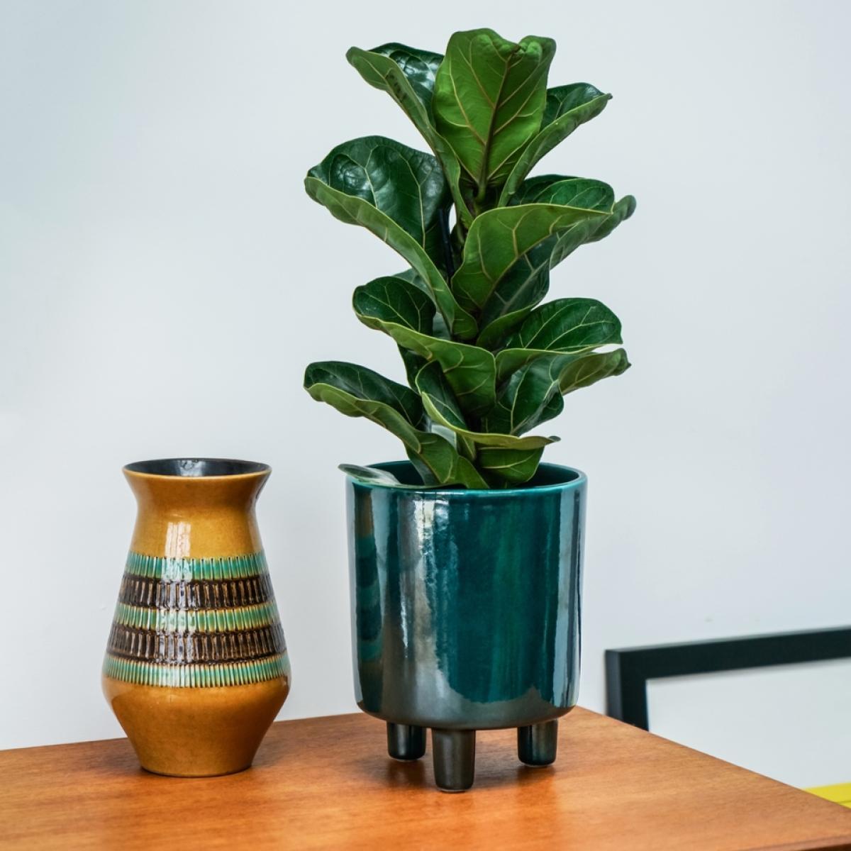 Ivyline Pisa Ceramic Green Indoor Planter - 16cm – image 2