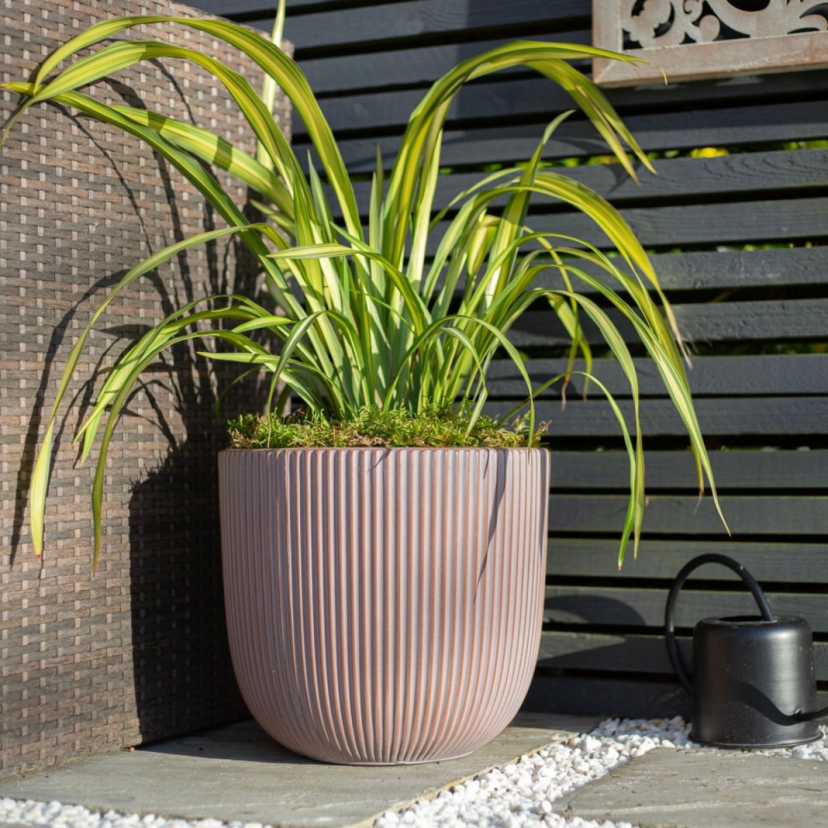 Ream Egg Plant Pot - Terracotta 24cm – image 2