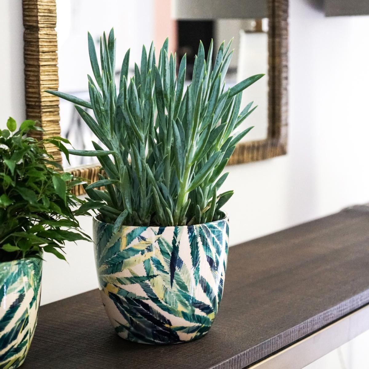 Ivyline Monza Botanical Fern Ceramic Green Indoor Planter - 14.5cm – image 2