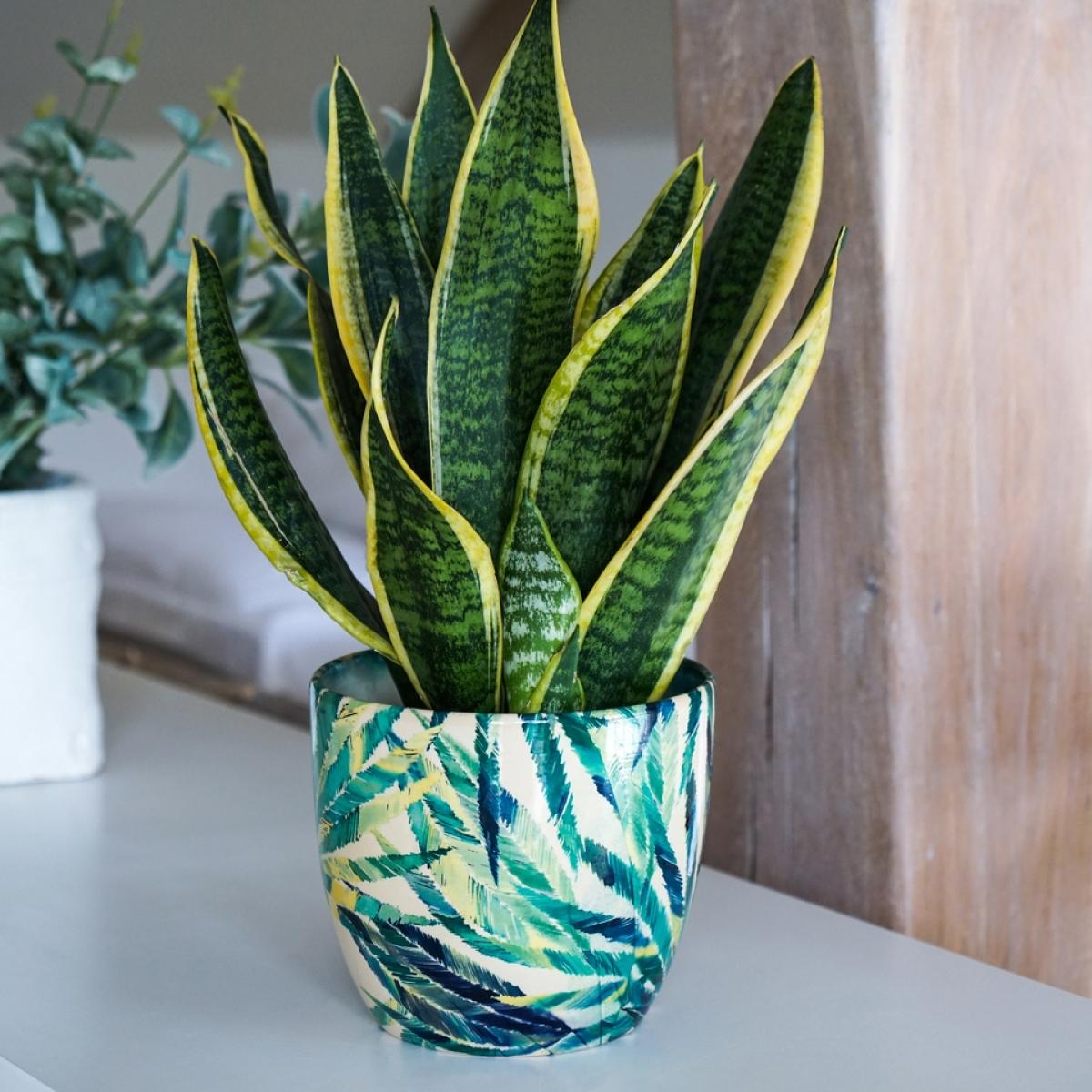 Ivyline Monza Botanical Fern Ceramic Green Indoor Planter - 14.5cm – image 3