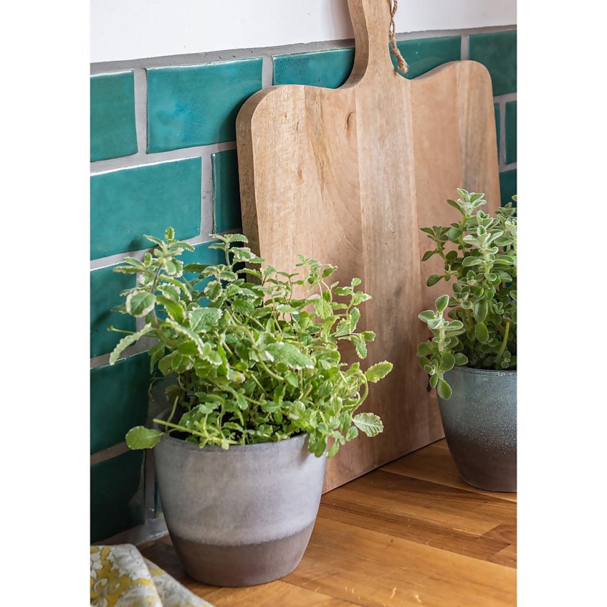 Hampton Moon Plant Pot - 19cm – image 2