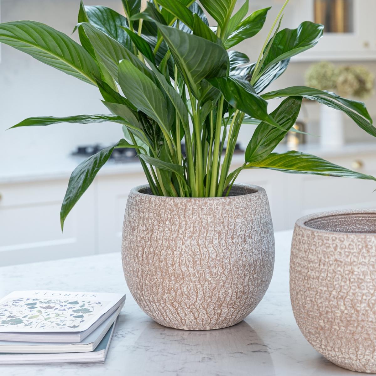 Ivyline Ostia Speckled Terracotta Indoor Planter - 21cm – image 3