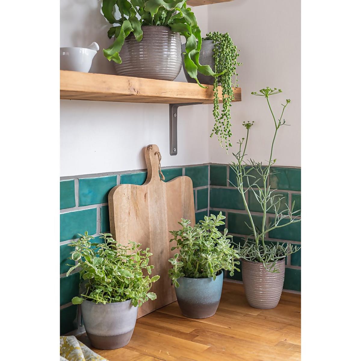 Hampton Moon Plant Pot - 16cm – image 2