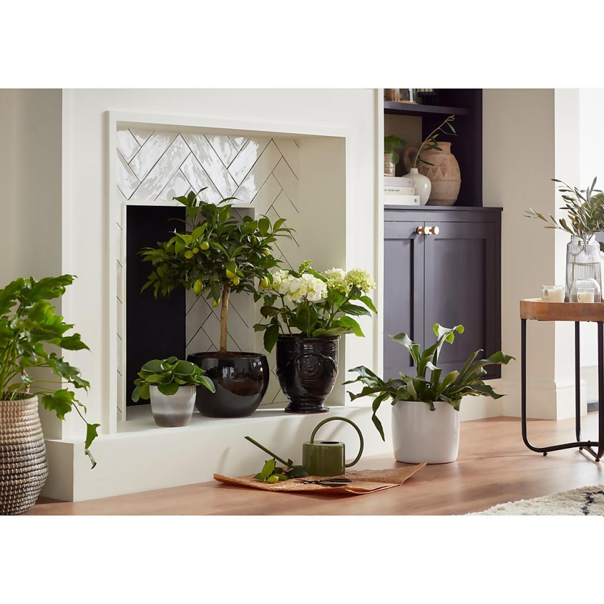 Hampton Moon Plant Pot - 16cm – image 3