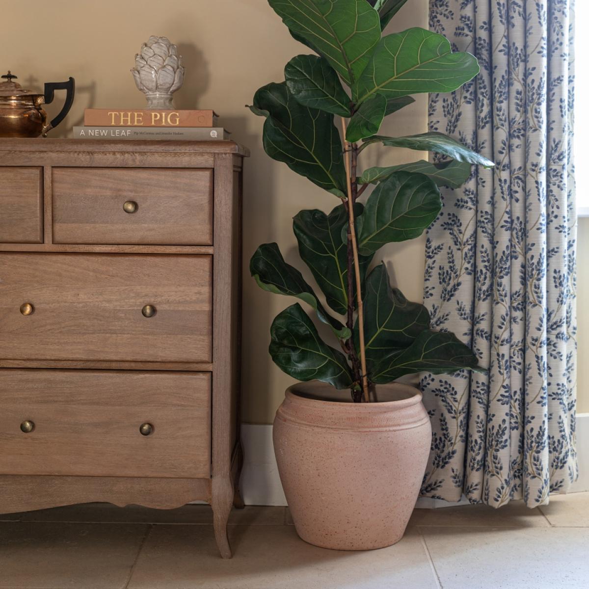 Ivyline Rhea Terracotta Indoor Planter - 27cm – image 2
