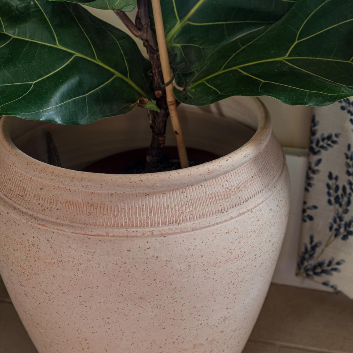 Ivyline Rhea Terracotta Indoor Planter - 27cm – image 3
