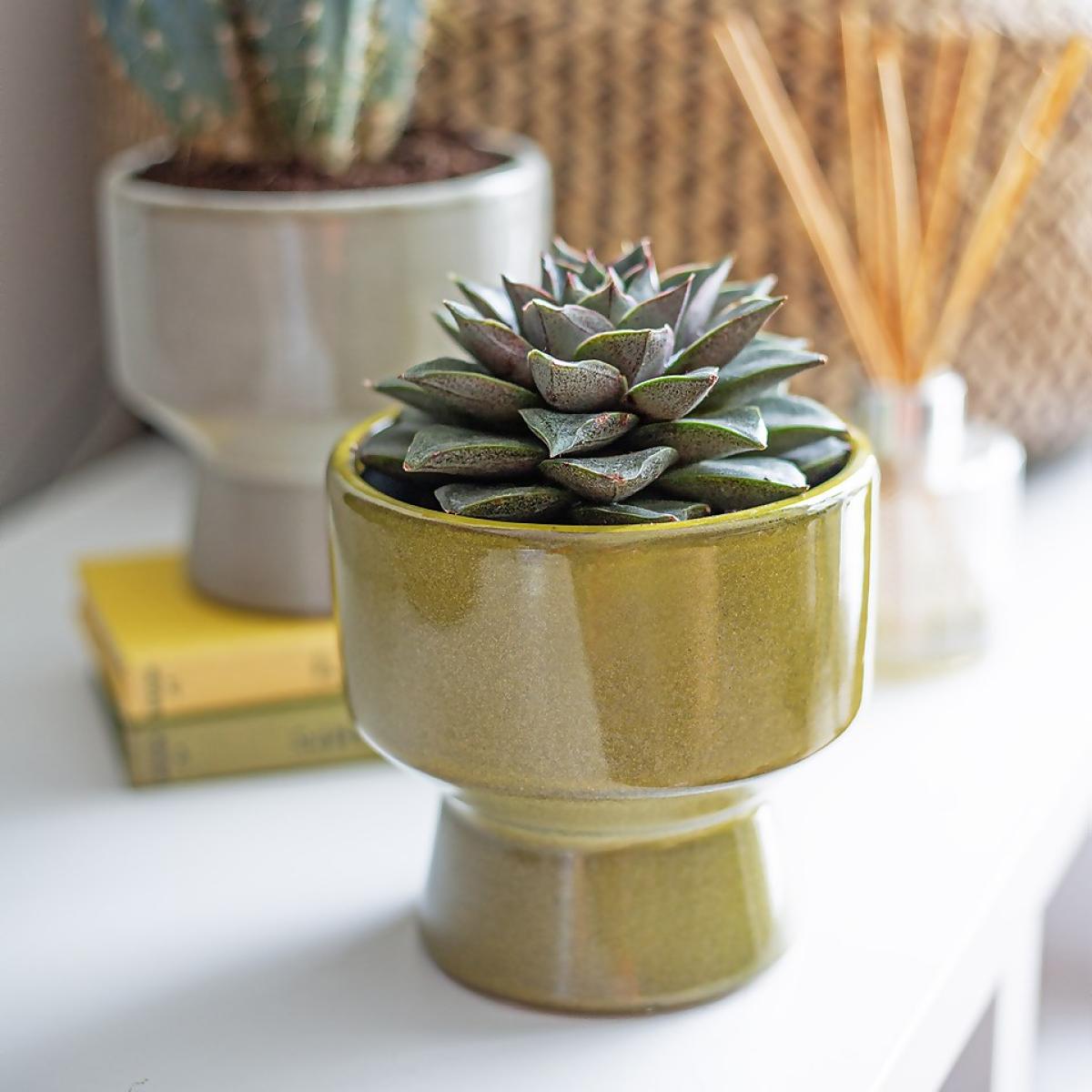 Chamfered Indoor Plant Pot - 13cm – image 2