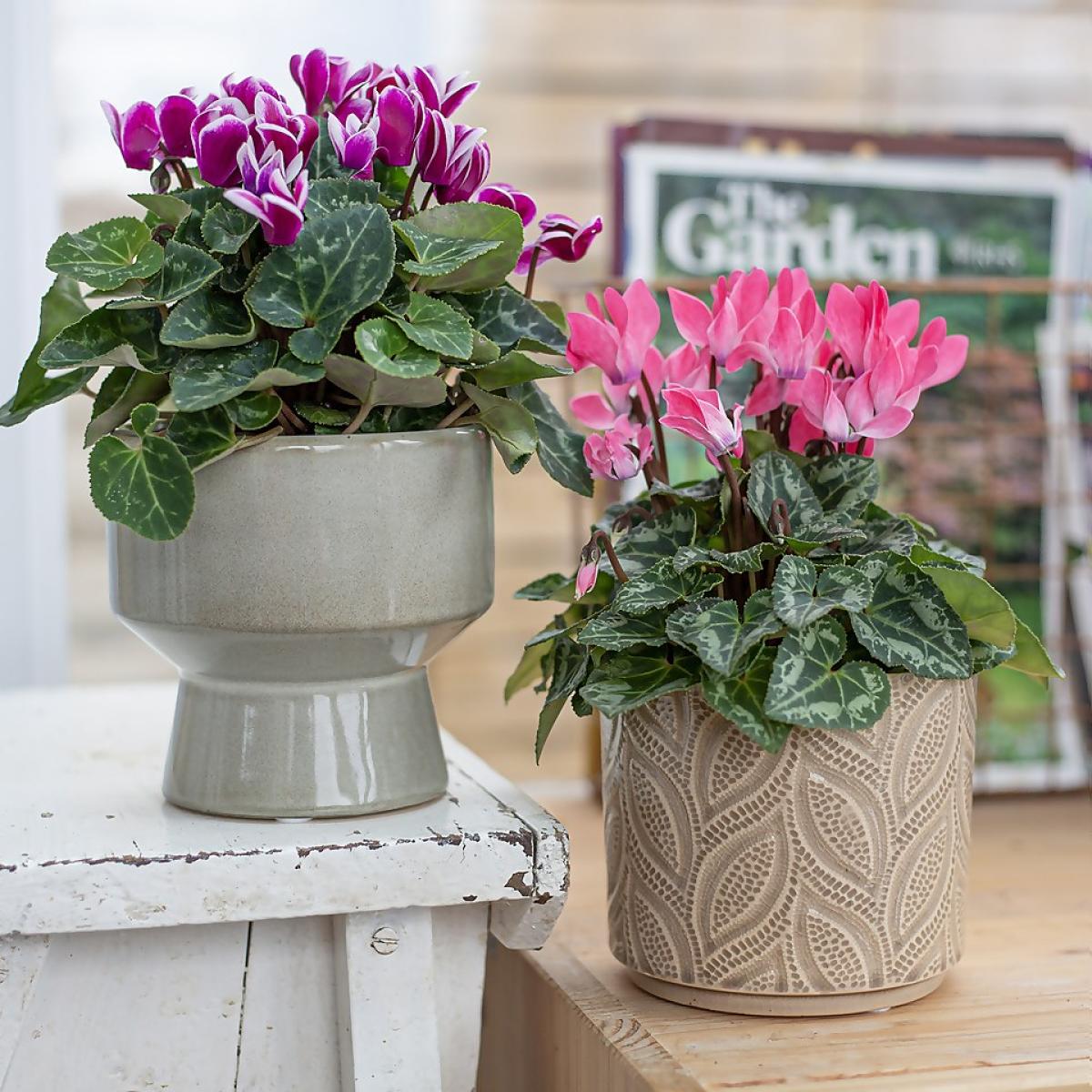 Chamfered Indoor Plant Pot - 13cm – image 11