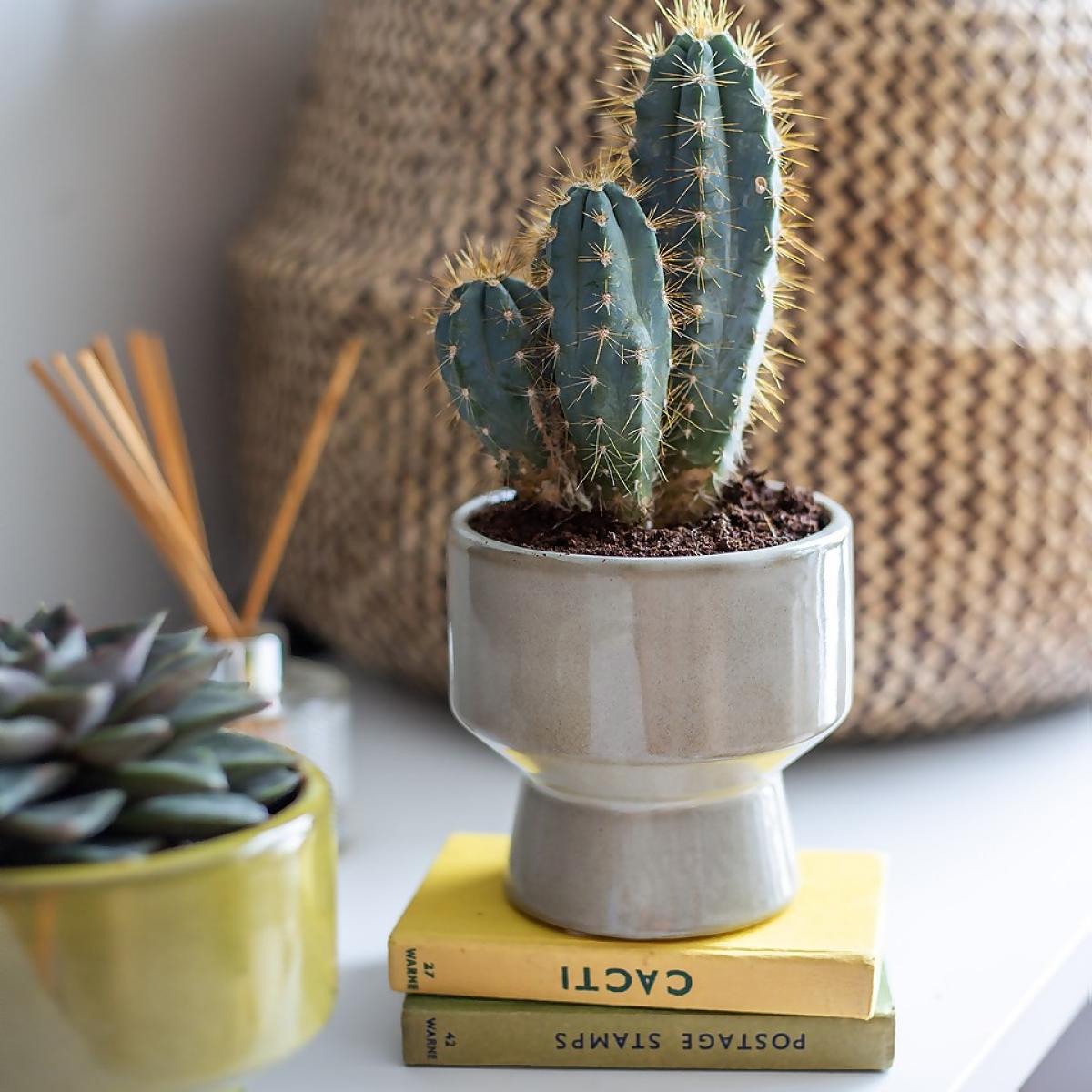 Chamfered Indoor Plant Pot - 13cm – image 5