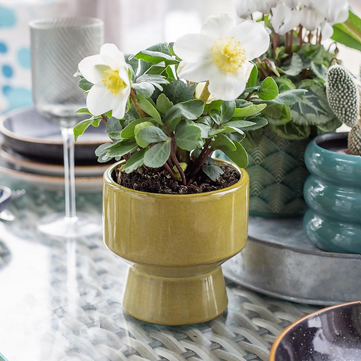 Chamfered Indoor Plant Pot - 13cm – image 7