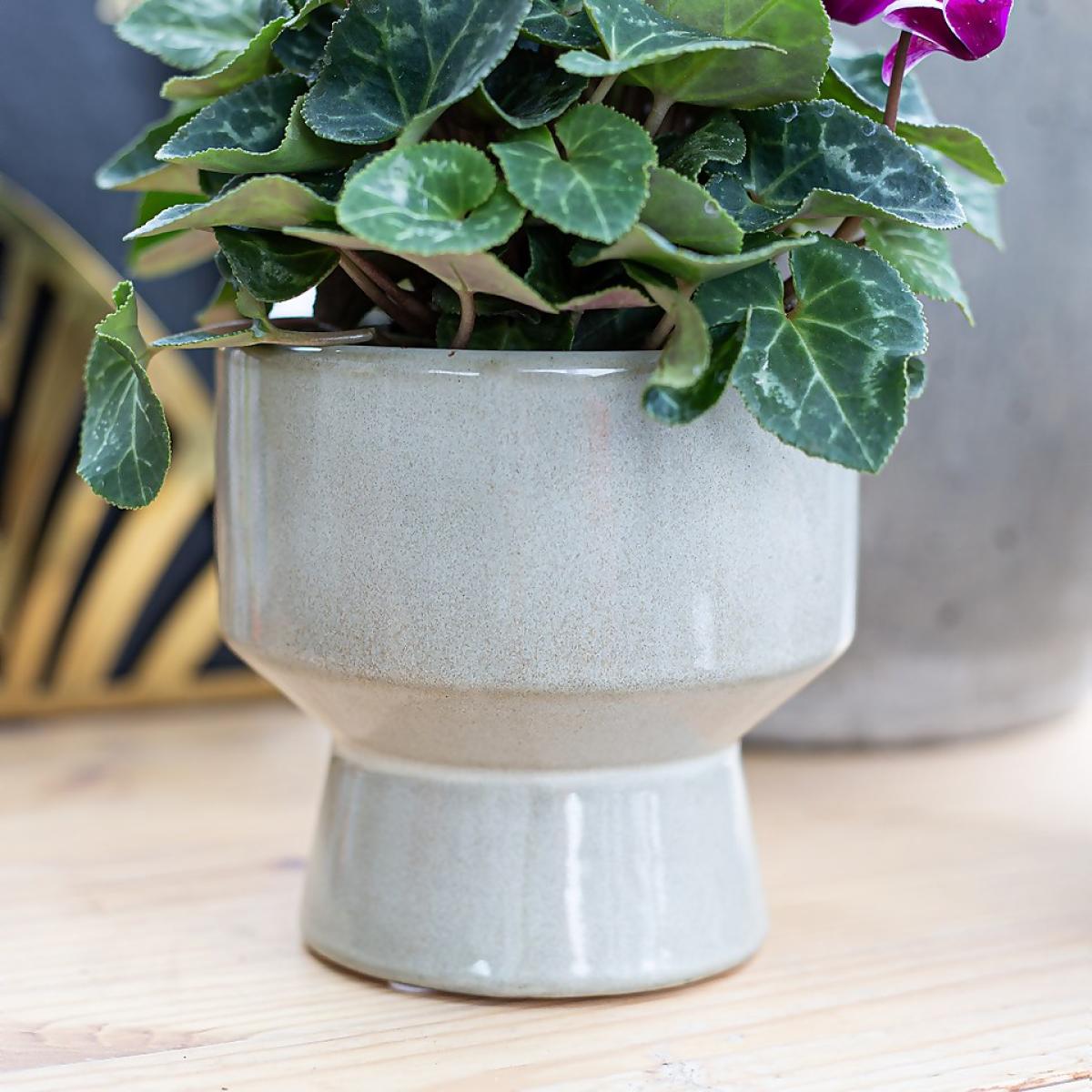 Chamfered Indoor Plant Pot - 13cm – image 8