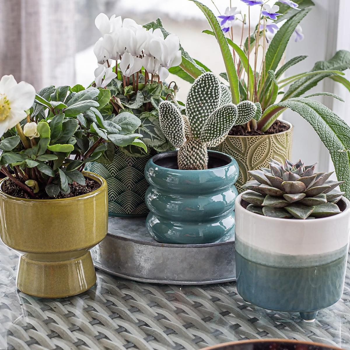 Chamfered Indoor Plant Pot - 13cm – image 10