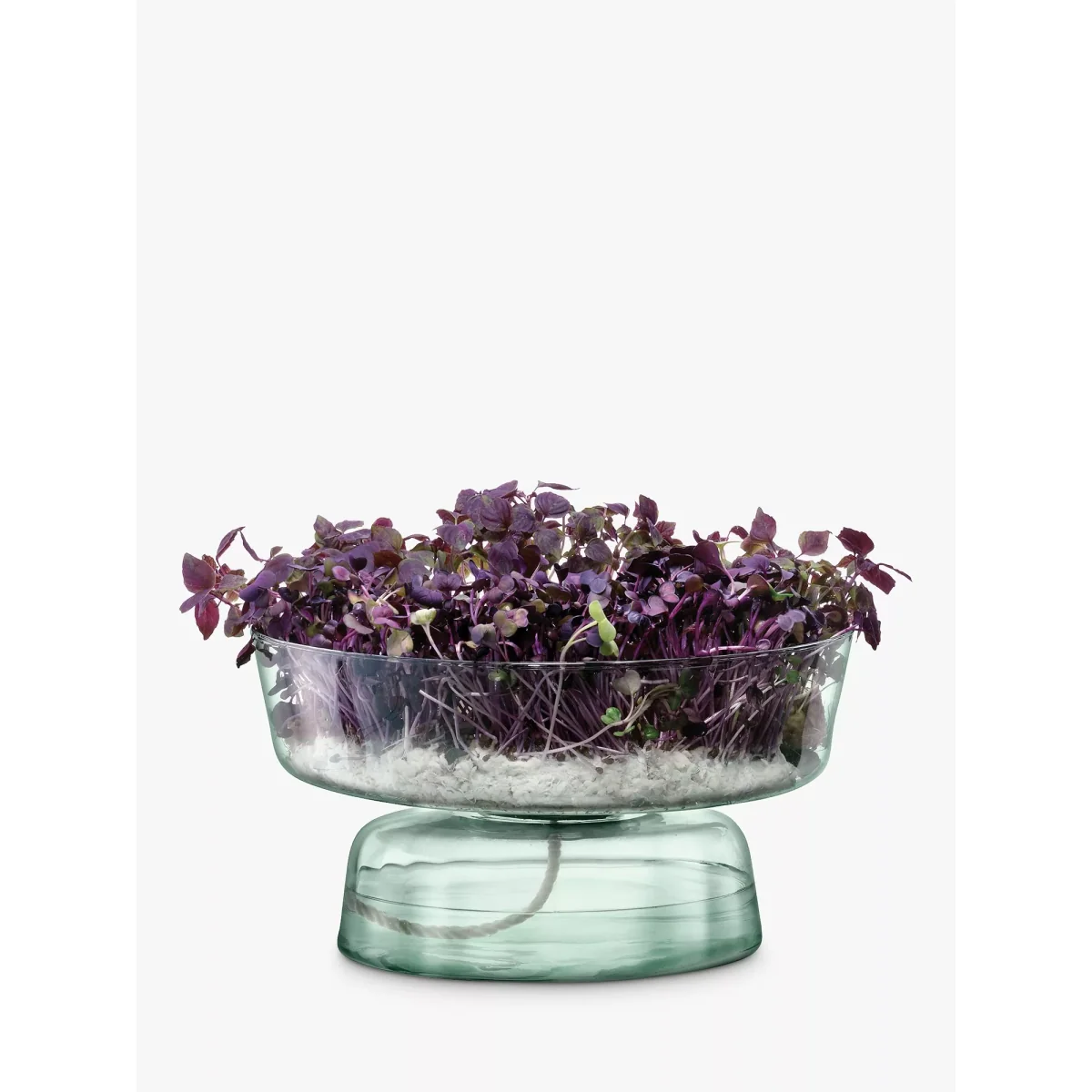 LSA International Canopy Self-Watering Planter, H14.5cm, Clear – image 2