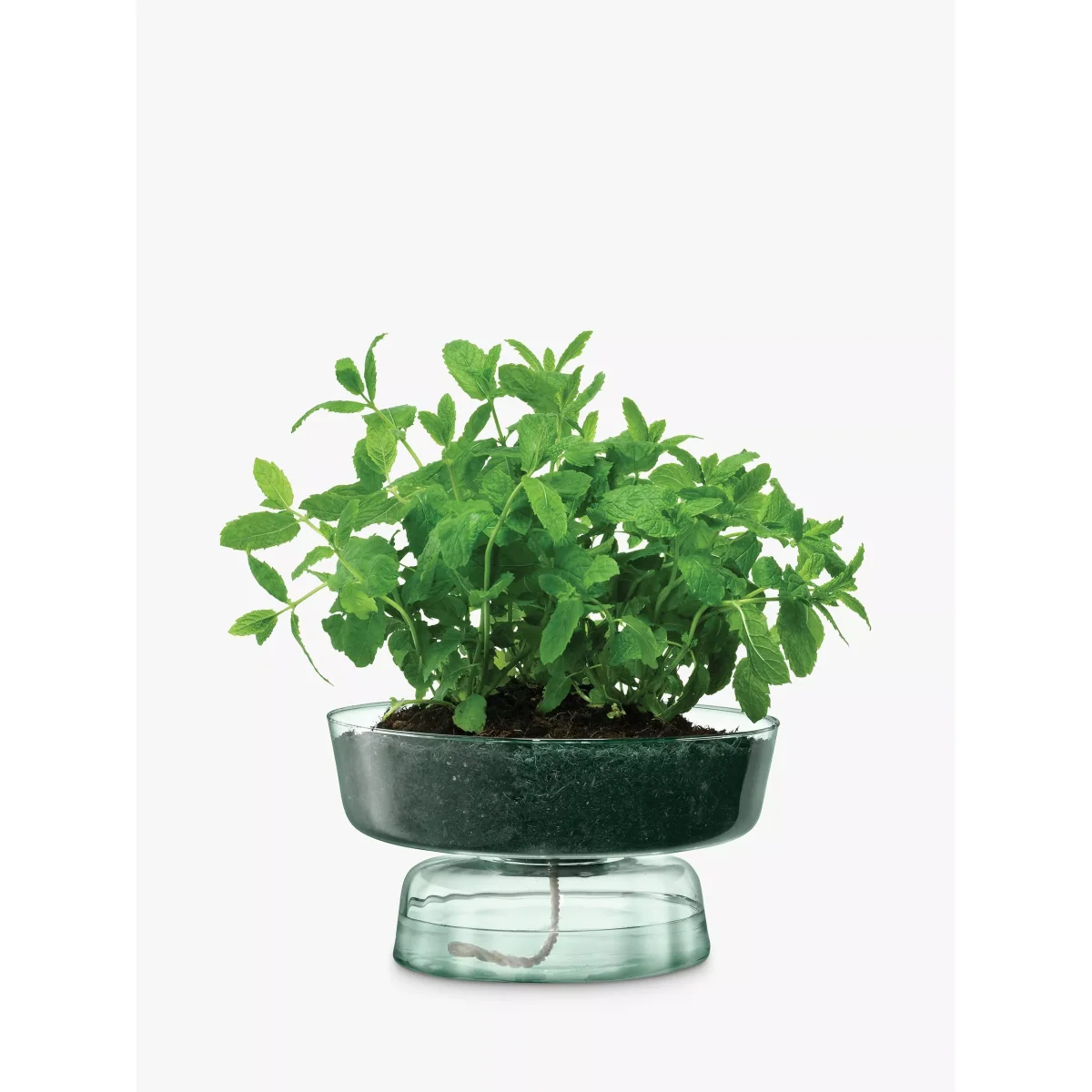 LSA International Canopy Self-Watering Planter, H14.5cm, Clear – image 3