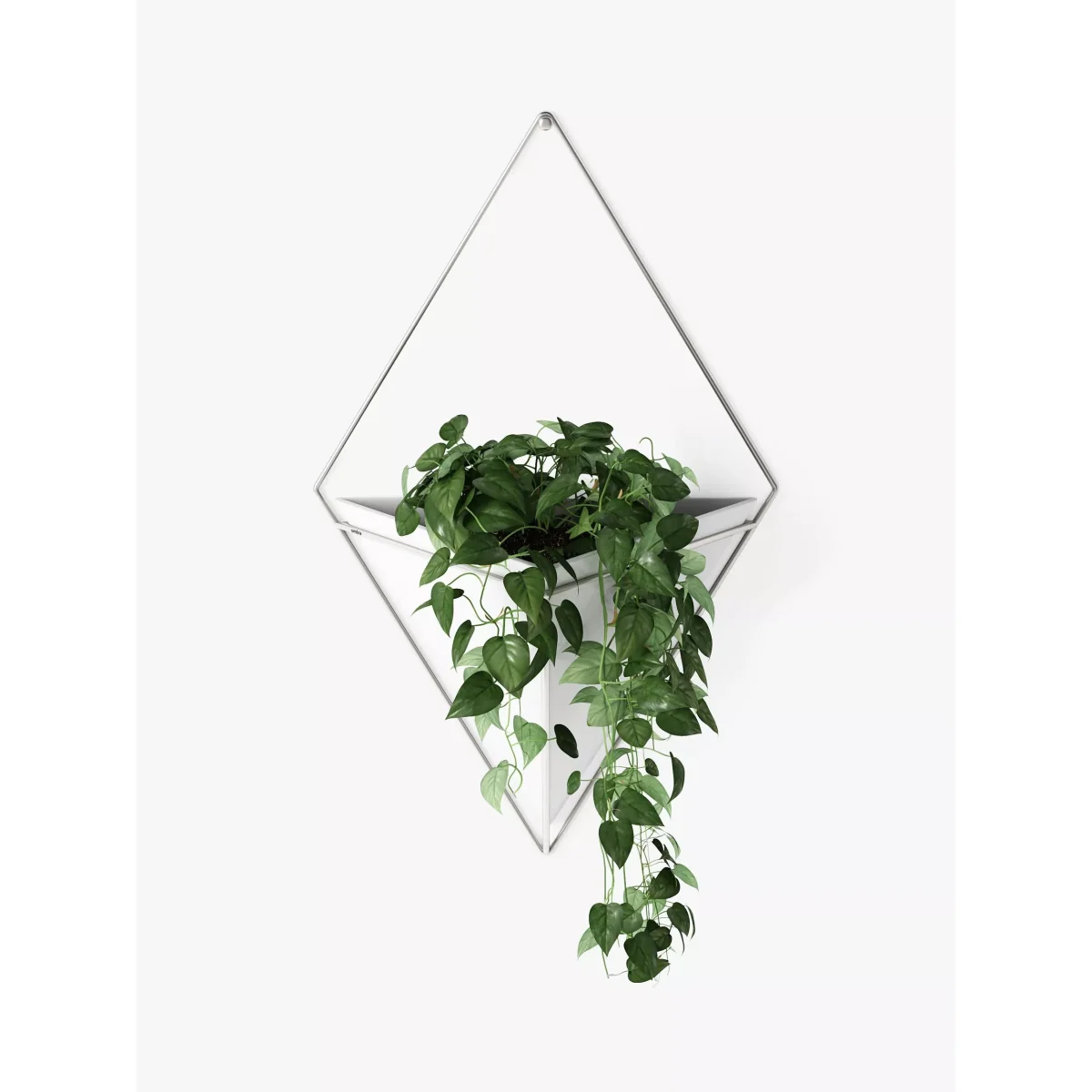 Umbra Trigg Large Wall Planter – image 5