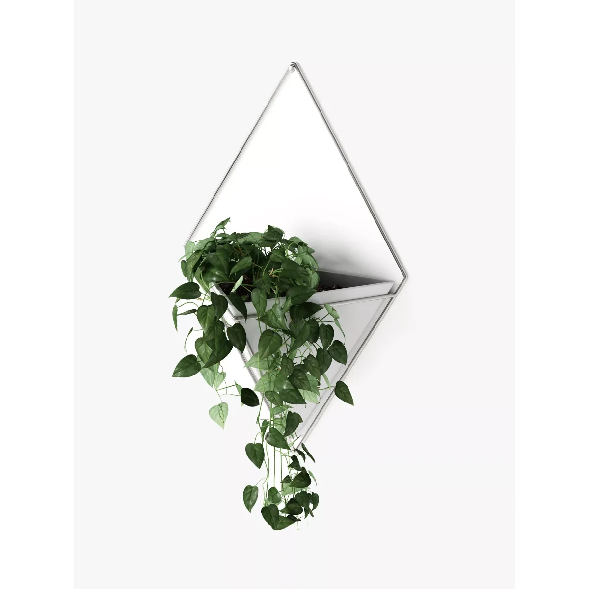 Umbra Trigg Large Wall Planter – image 6