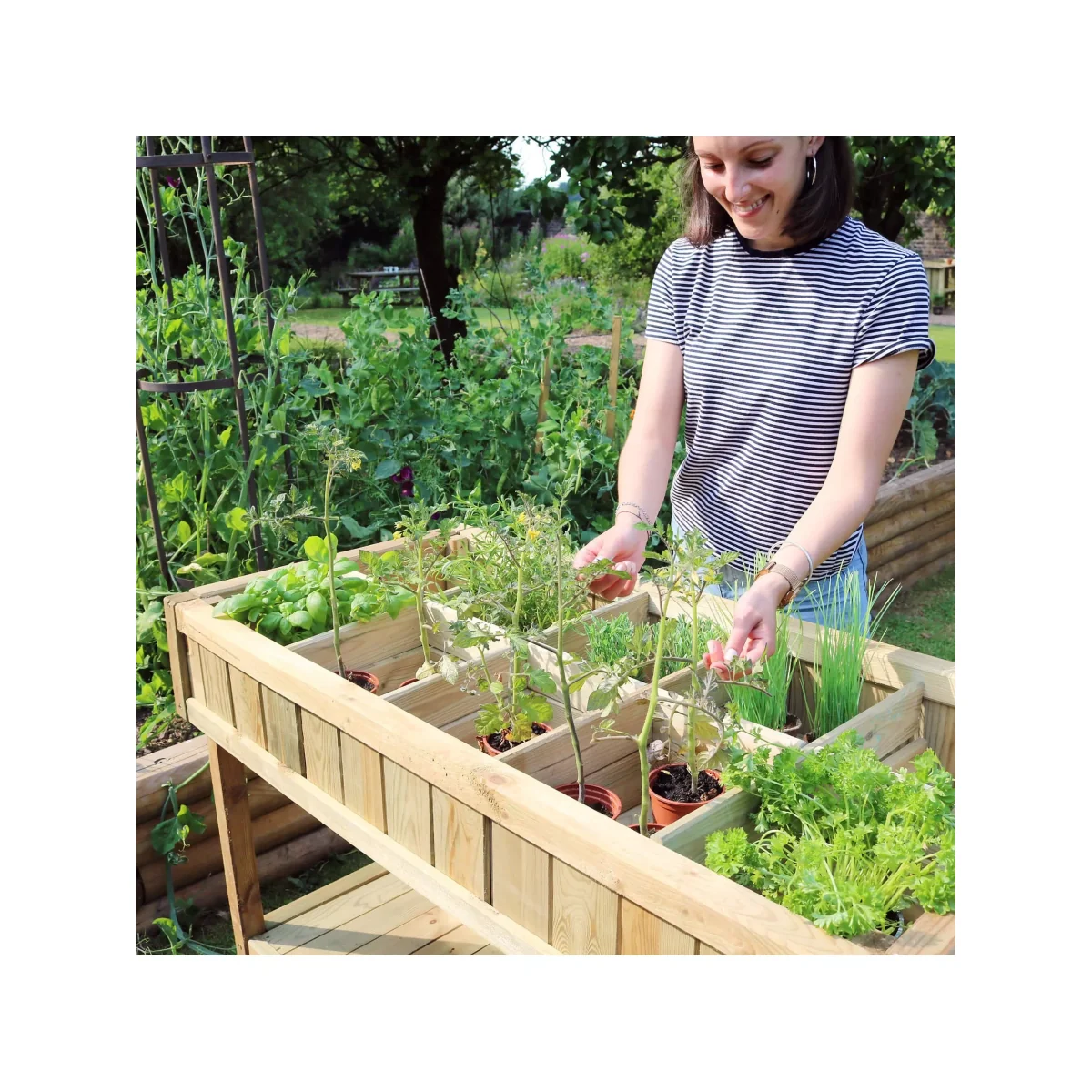 Zest Wooden Raised Herb Planter, Natural – image 7