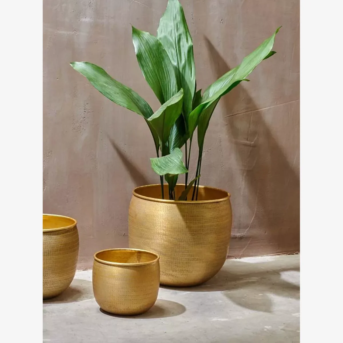 Nkuku Tembesi Planter – image 1