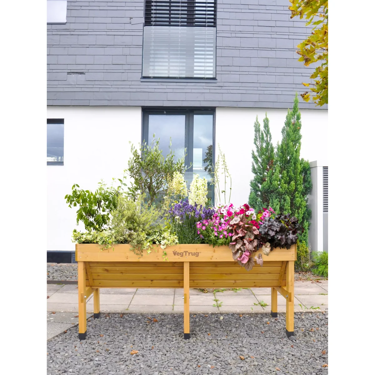 VegTrug Outdoor Medium Planter, 183cm, FSC-Certified (Cedar Wood) – image 7