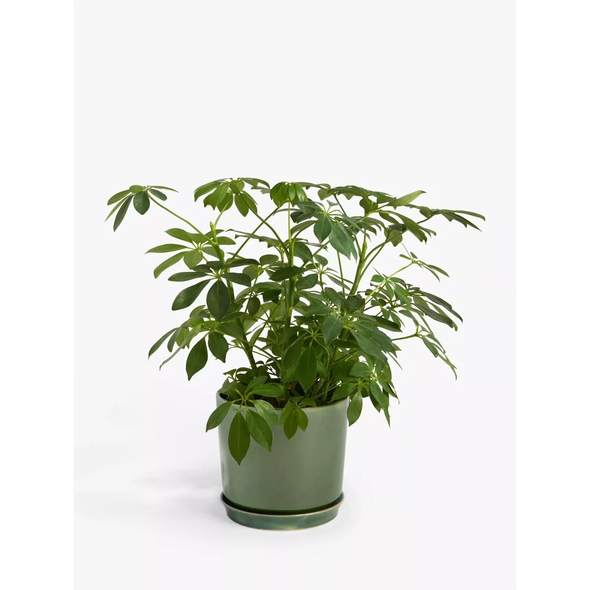 John Lewis Contemporary Glazed Stoneware Planter, 19.5cm – image 2