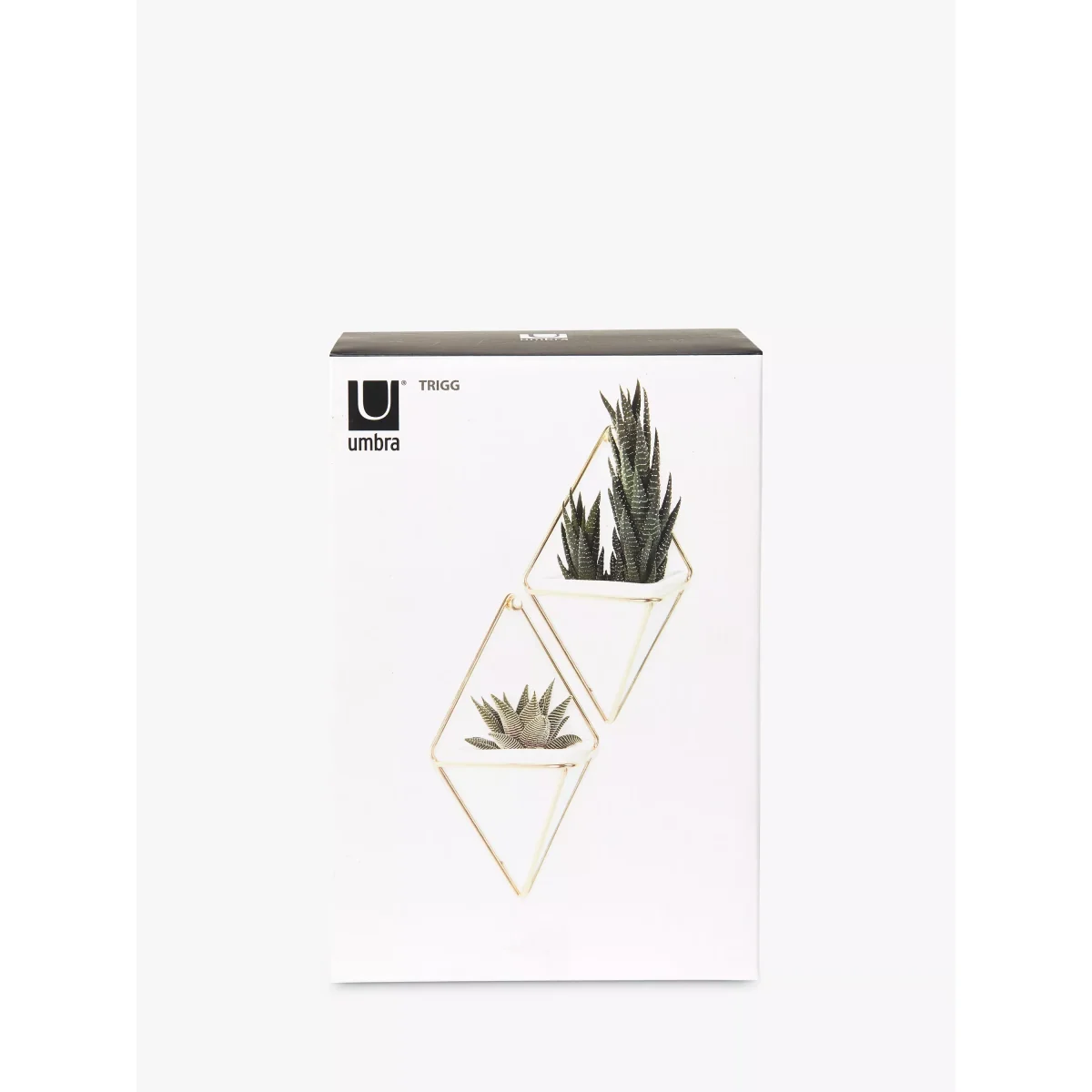 Umbra Trigg Small Wall Planters, White, Set of 2 – image 5