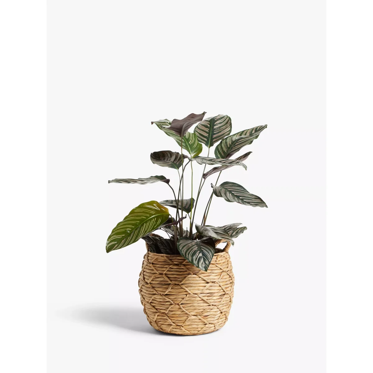 John Lewis & Partners Patterned Weave Water Hyacinth Planter – image 2