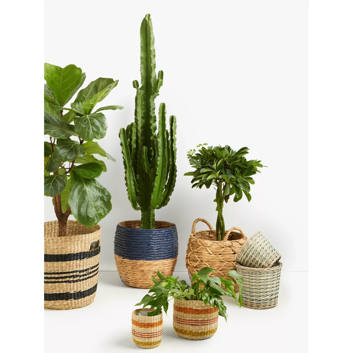 John Lewis & Partners Patterned Weave Water Hyacinth Planter – image 5
