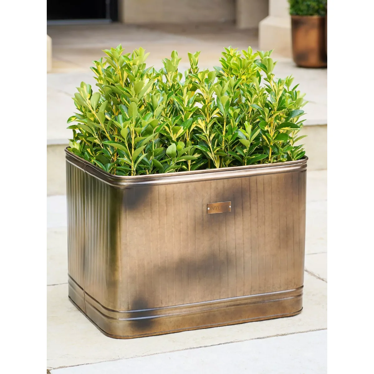 Ivyline Hampton Galvanised Metal Outdoor Trough Planter, 80cm – image 4