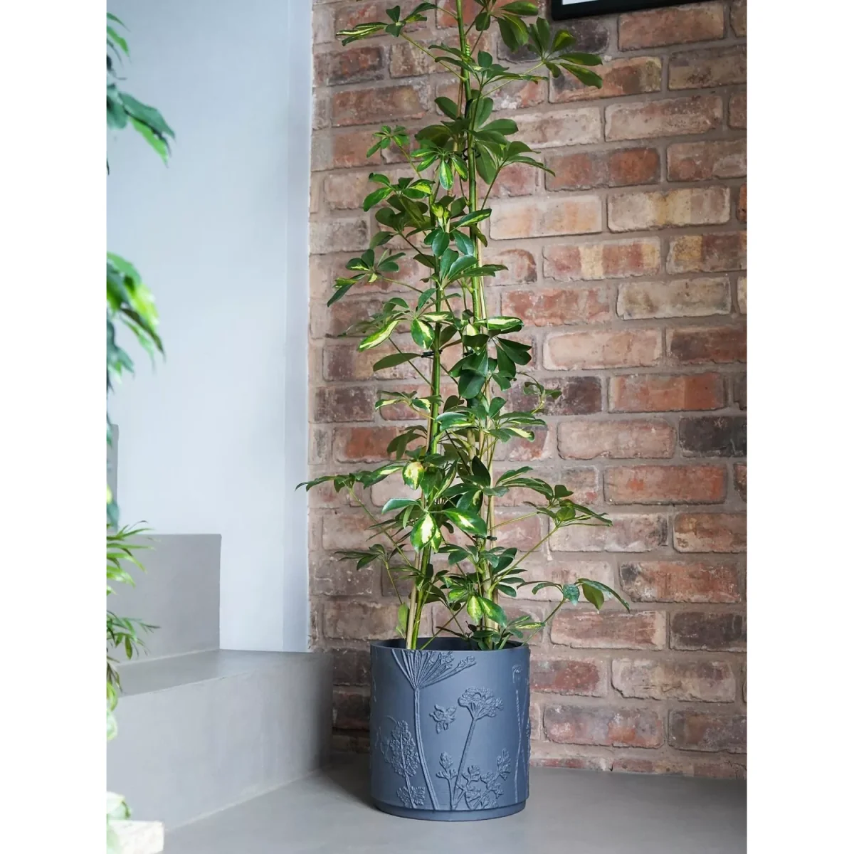 Ivyline Kew Gardens Meadow Textured Ceramic Indoor Planter – image 2