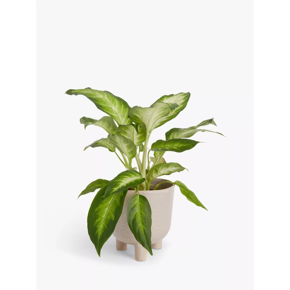 John Lewis Medium Ceramic Indoor Footed Planter, 15cm, Brown – image 2