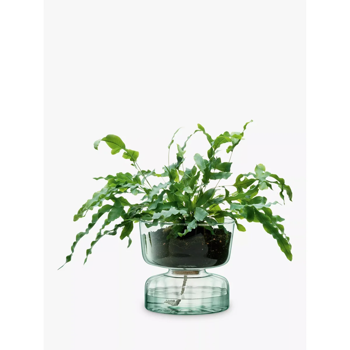 LSA International Canopy Self-Watering Planter, H22cm, Clear – image 2