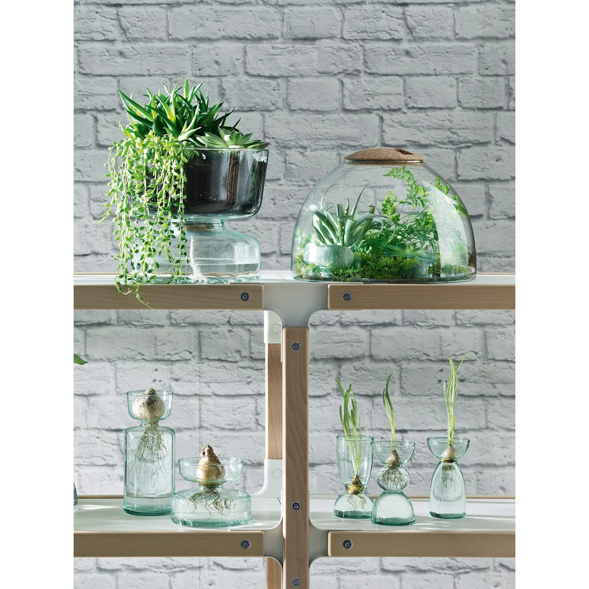 LSA International Canopy Self-Watering Planter, H22cm, Clear – image 3
